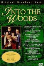 Watch Into the Woods Movies123