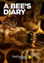 Watch A Bee\'s Diary (TV Special 2022) Movies123