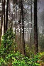 Watch National Geographic Kingdom of the Forest Movies123