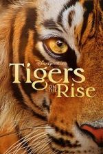 Watch Tigers on the Rise Movies123