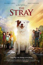 Watch The Stray Movies123