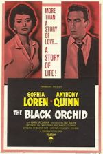 Watch The Black Orchid Movies123