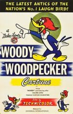 Watch The Woody Woodpecker Polka Movies123