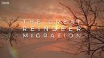 Watch All Aboard! The Great Reindeer Migration Movies123