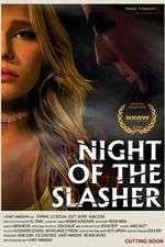 Watch Night of the Slasher Movies123