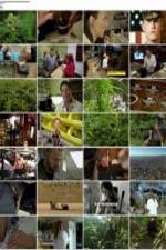 Watch National Geographic: Super weed Movies123
