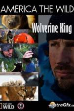 Watch National Geographic Wild America the Wild Wolverine King Movies123