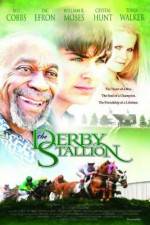 Watch The Derby Stallion Movies123
