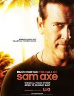 Watch Burn Notice: The Fall of Sam Axe Movies123