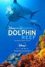 Watch Dolphin Reef Movies123