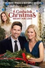 Watch A Godwink Christmas: Meant for Love Movies123