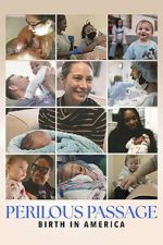 Watch Perilous Passage: Birth in America Movies123