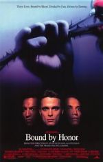 Watch Blood In, Blood Out Movies123