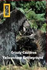 Watch National Geographic Grizzly Cauldron Movies123