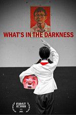 Watch What\'s in the Darkness Movies123