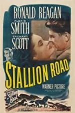 Watch Stallion Road Movies123