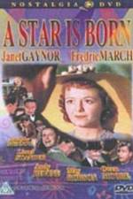 Watch A Star Is Born Movies123