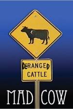 Watch Mad Cow Movies123