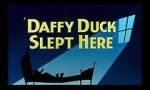 Watch Daffy Duck Slept Here (Short 1948) Movies123