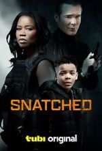 Watch Snatched Movies123