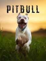 Watch Pitbull Movies123