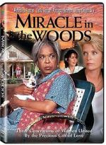 Watch Miracle in the Woods Movies123