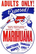 Watch Marihuana Movies123