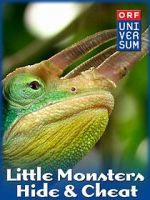Watch Little Monsters - Hide & Cheat Movies123