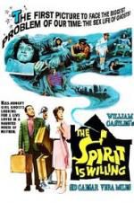 Watch The Spirit Is Willing Movies123