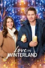 Watch Love in Winterland Movies123