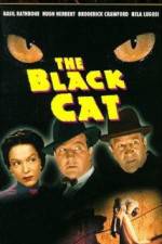 Watch The Black Cat Movies123