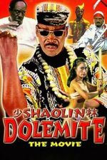 Watch Shaolin Dolemite Movies123