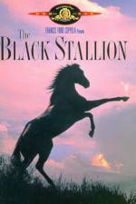 Watch The Black Stallion Movies123