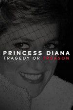 Watch Princess Diana: Tragedy or Treason? Movies123