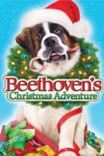 Watch Beethoven's Christmas Adventure Movies123