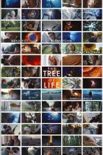 Watch The Tree of Life Movies123