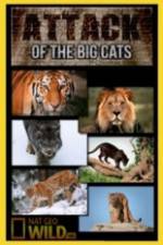 Watch National Geographic Attack Of The Big Cats Movies123