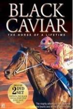 Watch Black Caviar The Races Movies123