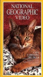 Watch Cats: Caressing the Tiger Movies123