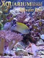 Watch Aquarium for Your Home: Saltwater Reef Movies123