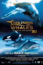 Watch Dolphins and Whales 3D Tribes of the Ocean Movies123