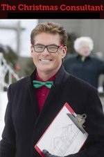 Watch The Christmas Consultant Movies123