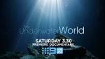 Watch My Underwater World (TV Special 2024) Movies123