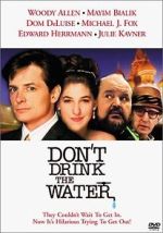 Watch Don't Drink the Water Movies123