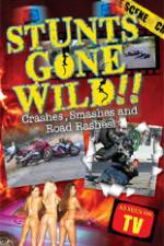 Watch Stunts Gone Wild: Crashes, Smashes & Road Rashes! Movies123