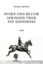 Watch Pferd und Reiter Springen ber ein Hindernis Movies123