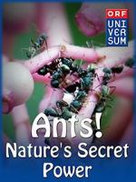 Watch Ants: Nature\'s Secret Power Movies123