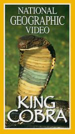 Watch King Cobra Movies123