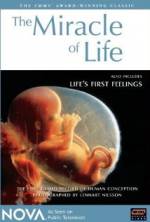 Watch The Miracle of Life Movies123