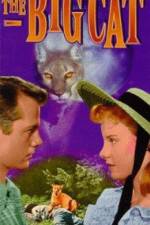 Watch The Big Cat Movies123